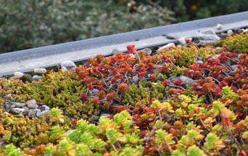 the cost of Weston Lullingfields green roof installation