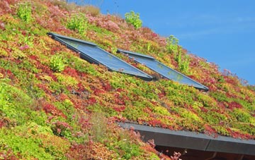 Weston Lullingfields living roof systems