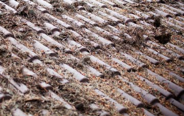 Weston Lullingfields roof cleaning companies